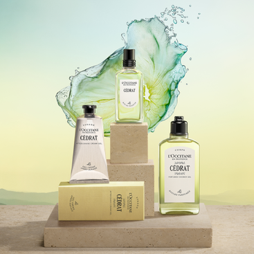 Cédrat Perfumed Shower Gel | L'Occitane en Provence